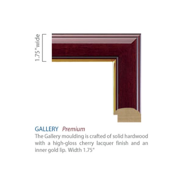 Harvard Gold Embossed Certificate Frame in Gallery or Regency Gold with
